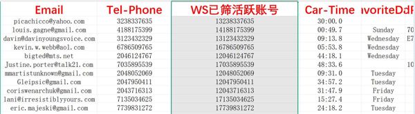 美国（USA）_豪车主信息_已筛WS活跃账号_3118条_