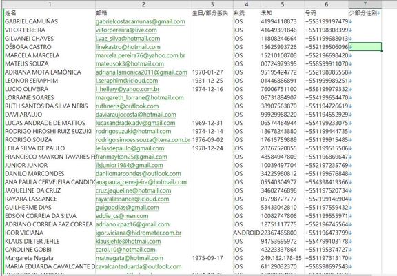 数据来源：https://vale.com/
格式：姓名,邮箱,生日/部分丢失,系统,未知,号码,少部分性别