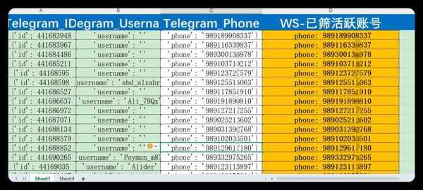 伊朗（Iran）_telegram_电报_数据库料_WS已筛活跃账号_500条_可筛WS活跃_可筛TG活跃
