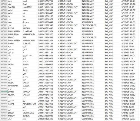本链接数据45万条，5月4日年度首次更新，（无重复，无空行），购买后mega网盘自动发货

筛选用户：NBE商业银行金融理财客户，近期上线客户，优质好开发！！！