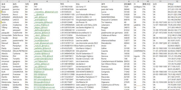 25年新出库-意大利-金融投资支票外汇-（2025年5月）-12万条- 有需要可以尽快下单，购买后mega自动发货 数据格式请看下方截图