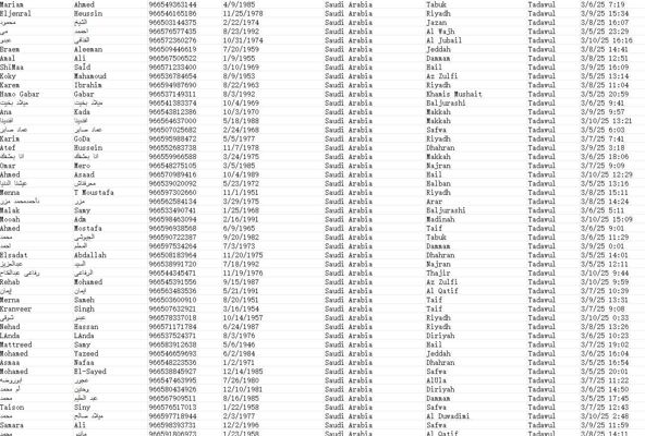 数据更新时间：2025年3月14日 来源：沙特交易所Tadawul 纯股票投资客户63万

数据已去重，格式请查看截图，独家一手数据，购买后mega网盘自动发货

虚拟数据易复制，购买前先看清楚介绍，有问题先留言。购买后不退不换。