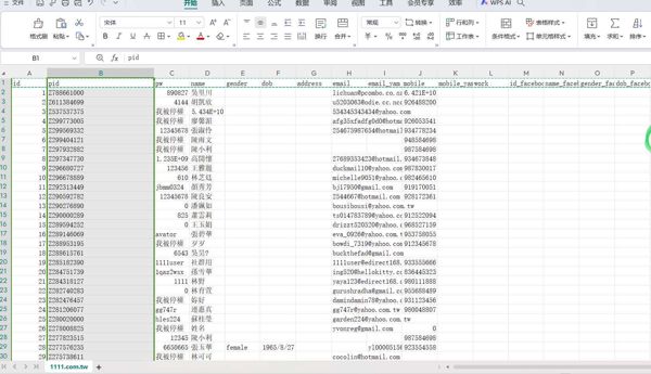 id 名字pid 工作状态 年龄 邮箱电话
