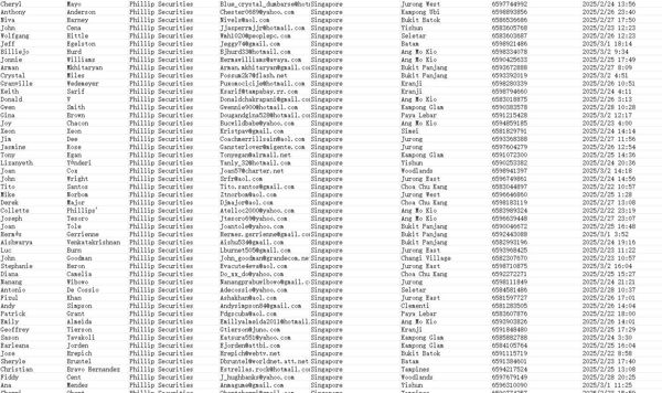 出库时间：2025年3月，有效数据总62万（无重复无空行），来源：新加坡辉立证券

筛选的是纯股票投资客户，有需要可以购买，本站数据可稳定更新

数据易复制，购买前请务必看清楚描述。有疑可以先留言，每天不定时在线