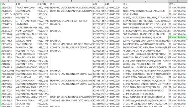 越南Sacombank（西贡商业银行）底料10万