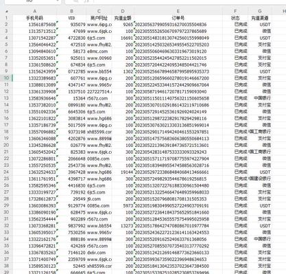 惠支付博彩充值数据9万