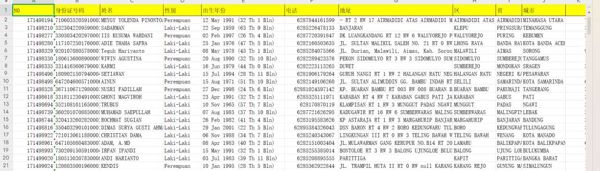 印尼公民带证五要素数据31万-大部分都有WhatsApp开通注册