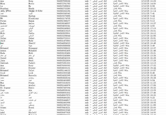 沙特阿拉伯国家银行信用卡数据，总数54万（已去重）  出库时间：2025年2月

数据内容已上传截图，一手独家数据，禁止倒卖！！