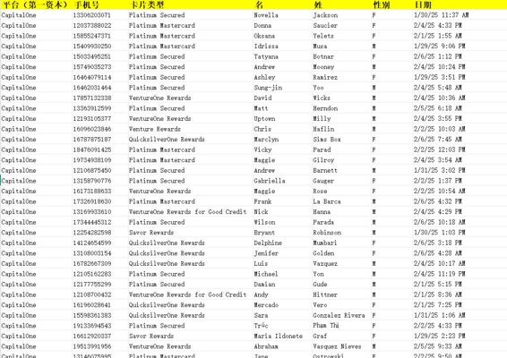 更新时间：2025年2月7日，来源：美国capitalone（第一资本）信用卡客户，总数63万（信用卡卡号未保留）


2月份活跃信用卡消费客户，一手数据，高质量开发价值高，付款后MEGA网盘自动发货