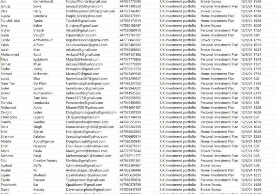 数据格式：姓名 邮箱  手机号  投资类型  时间  。数据具体格式以下方截图为准

此价格总数据61万条，不拆分不议价，2024年12月最新出库，独家一手资源，当月上线客户，需要的老板速度购买
