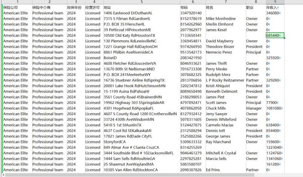 数据来源网站：https://americanelite.com/
内容：保险公司,保险商,投保年份,经营许可,地址,号码,姓名,职业,年收入