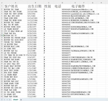 越南股民30万