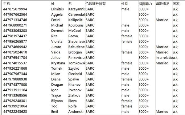 手机;姓;名;伦敦证券持有;性别;消费能力;婚姻情况;国家;银行类型