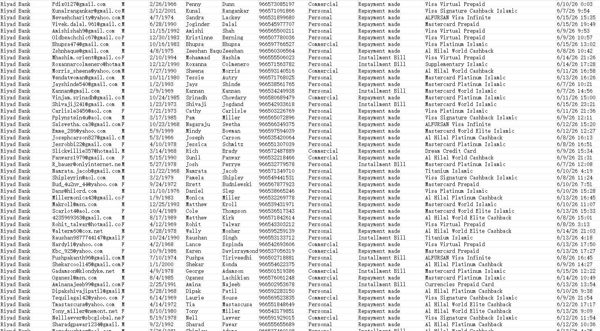 www.riyadbank.com新库首次渗透，全新一手数据，购买后MEGA自动发货，数据格式已上传，数据易复制，购买后不退不换，有疑问请先留言