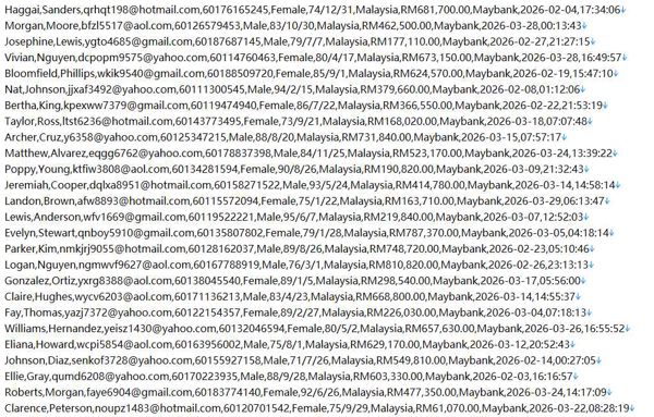 马来西亚‑在线个人贷款网站554w用户数据资料instaduit.com‑