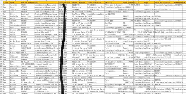 全新：法国招聘工作猎头30W profil-search.fr