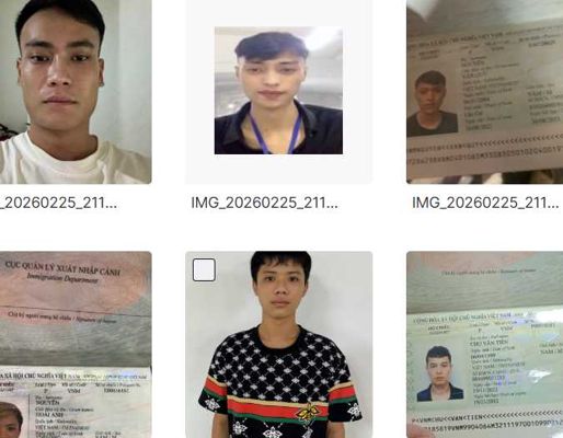 越南人加护照100套