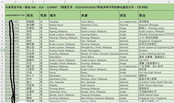 马来西亚华人华侨5万条，第一批货 ，贪官子女富二代