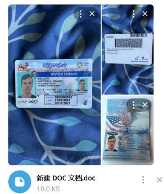 美国驾照正反+护照+SSN 6套
