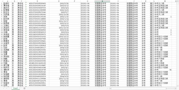 【湖南中专学生数据2.4W】带身份证号码3要素数据三要素数据年轻人数据2要素数据二要素数据高中生数据（AA数据清单）
