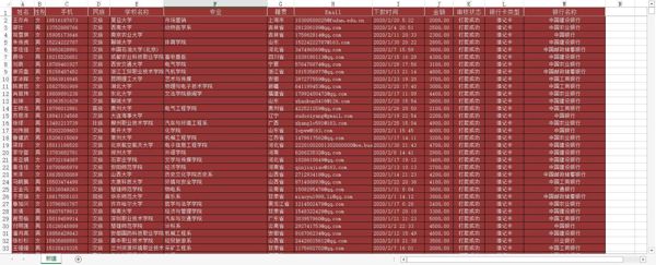【大学生网贷数据4.6W】某网贷平台贷款数据大学生数据WD数据（AA数据清单）