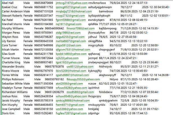 沙特lraqi房地产房主登记数据信息556W