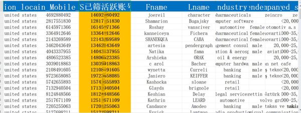 1_美国（linkedin）_领英Linkedin_WS已筛活跃账号_5001条